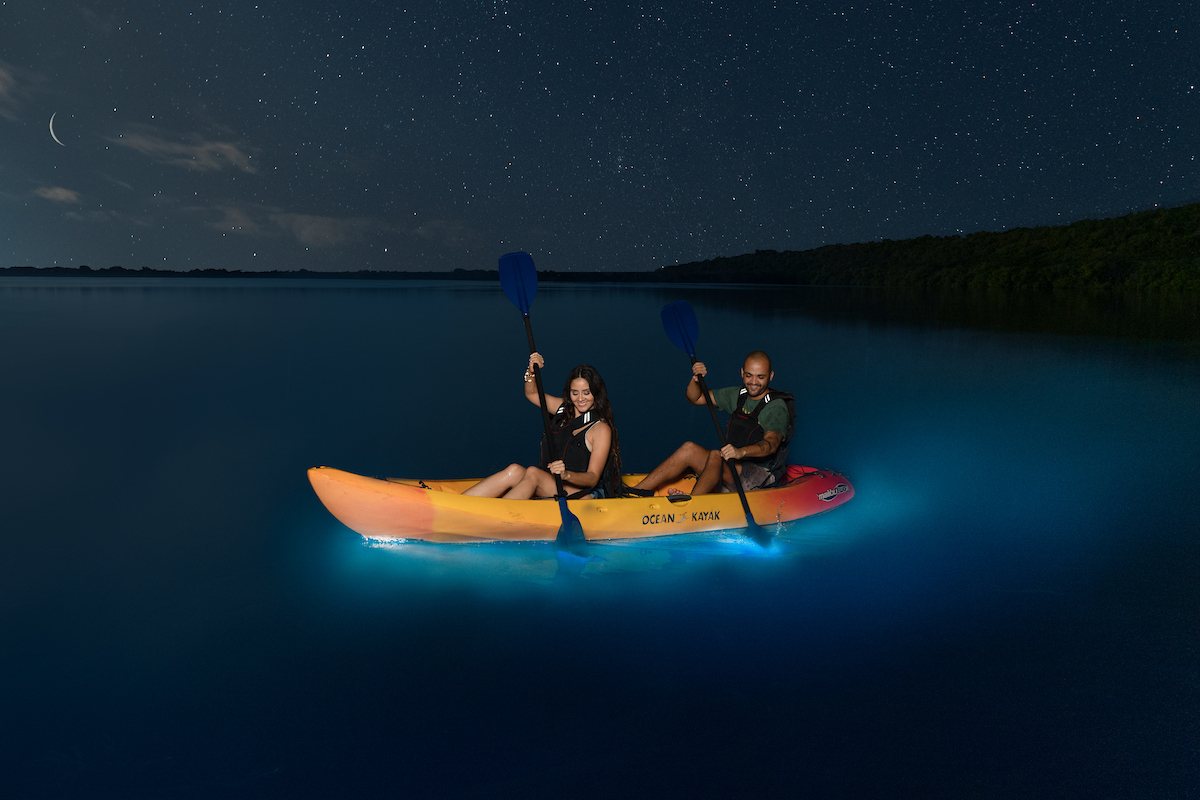 Kayakers on a bioluminescent bay tour at night in Puerto Rico