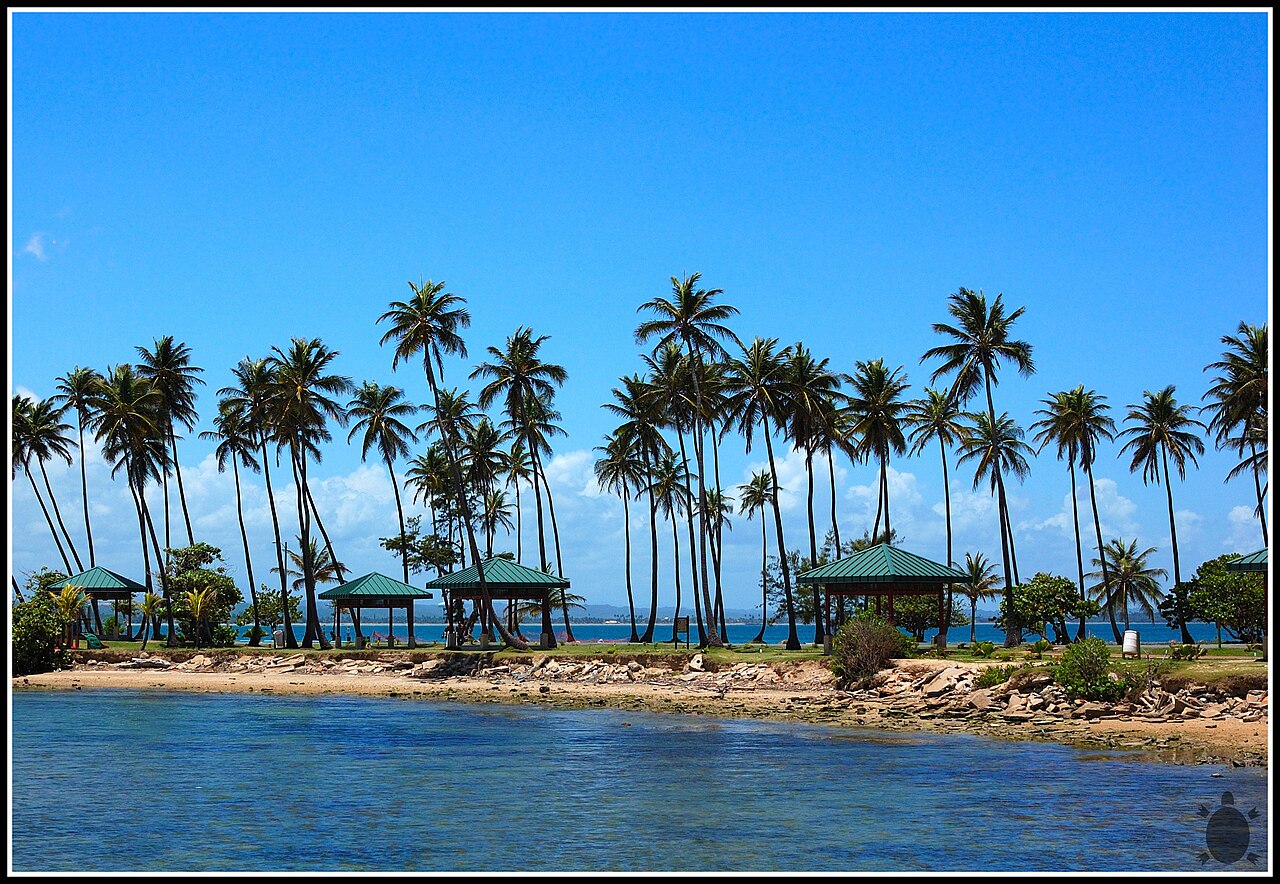 Palm trees and picnic gazebos at Isla de Cabras park in Toa Baja, Puerto Rico