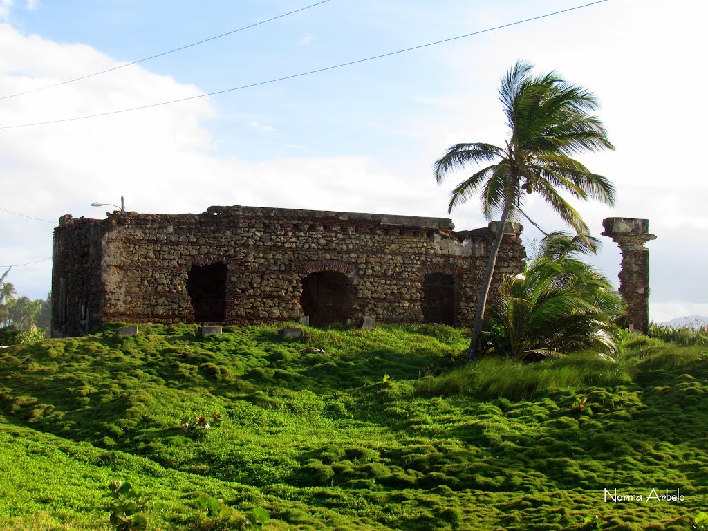 Ruins of the old lazareto and leprosy hospital on Isla de Cabras, Toa Baja