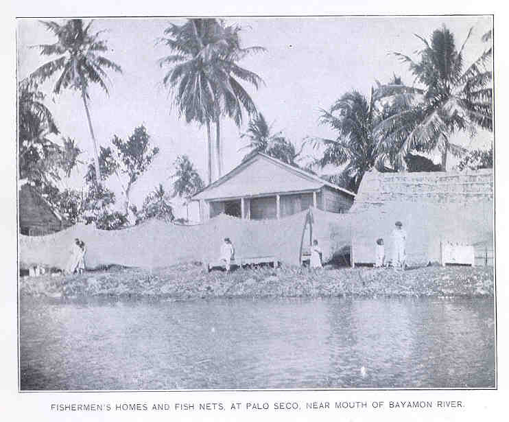 Historic photo of fishermen's homes and nets at Palo Seco, Toa Baja, around 1900
